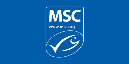 MSC 500