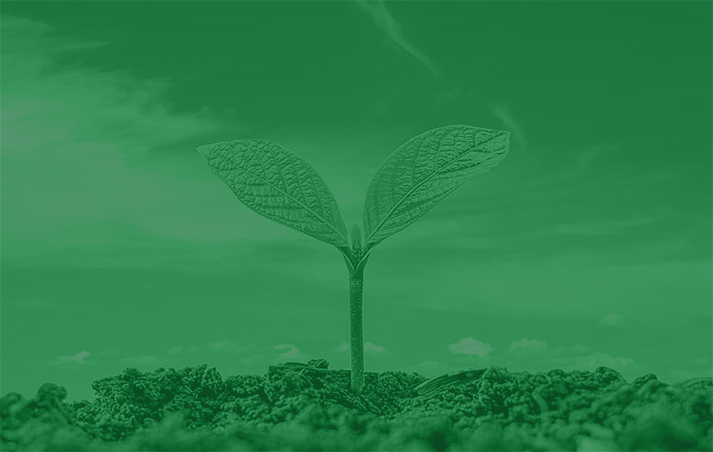 Regenerative Agriculture